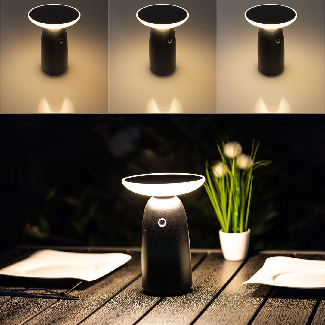 LED akumulatorska solarna namizna svetilka 100/500/1000lm 3000K IP44