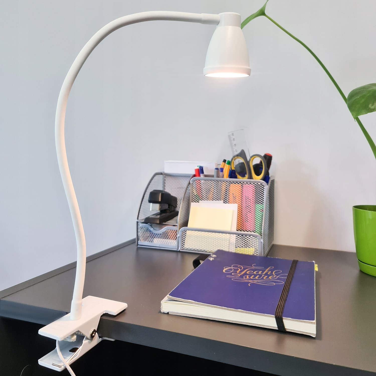 USB LED namizna svetilka 5W 24LED 3 barve svetlobe s sponko bela