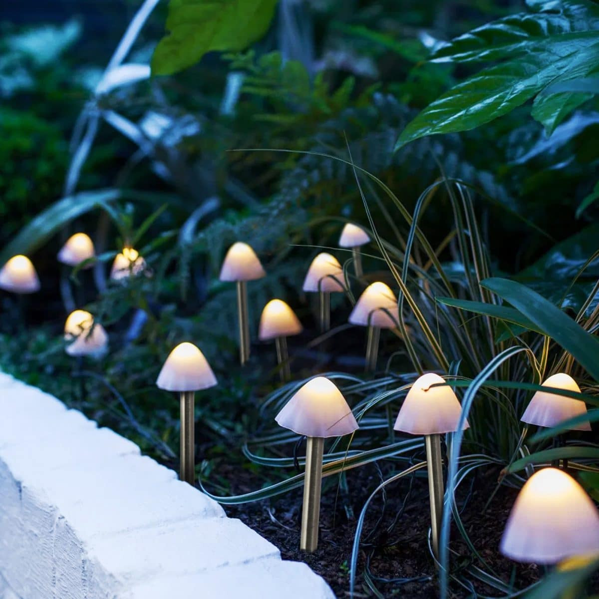 LED solarna svetilka - 12 mini gob - toplo bela - 24 cm x 4 m
