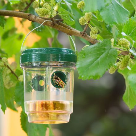 Solarna UV LED past za insekte