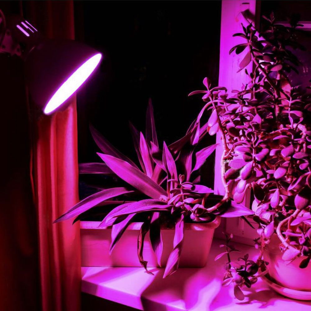 LED Plant Grow Bulb VIDEX-E27-A60-8W-FITO