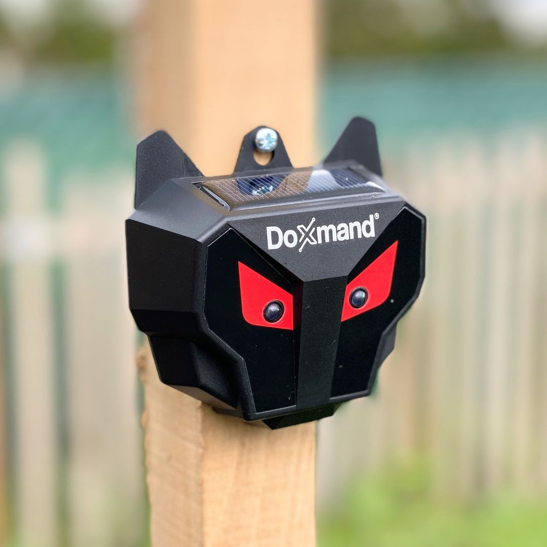 2x solarni plašilec / odganjalec divijih živali z utripajočimi rdečimi očmi 90 x 85 x 35mm – slika 8
