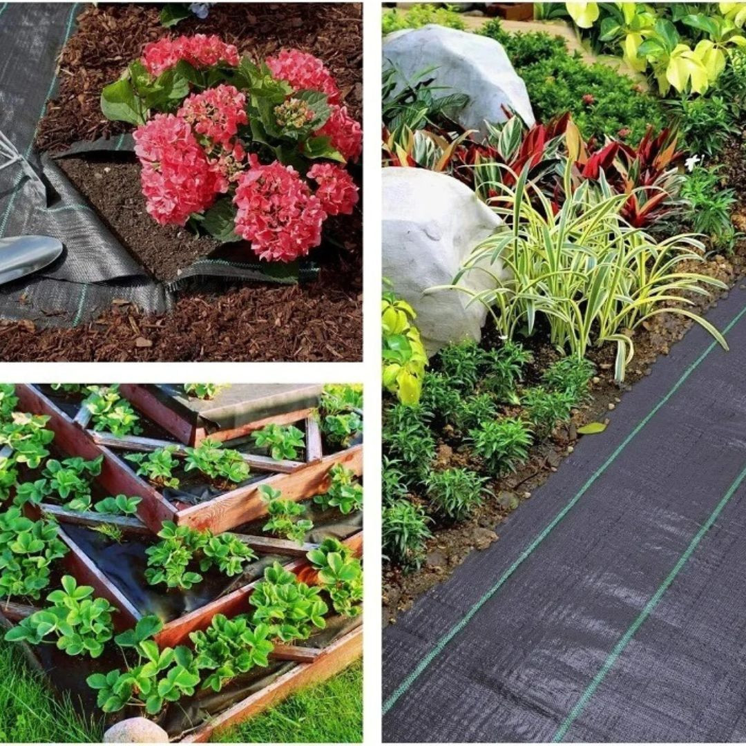 Folija proti plevelu pletena 90g/m2 1,6x50m na roli črna