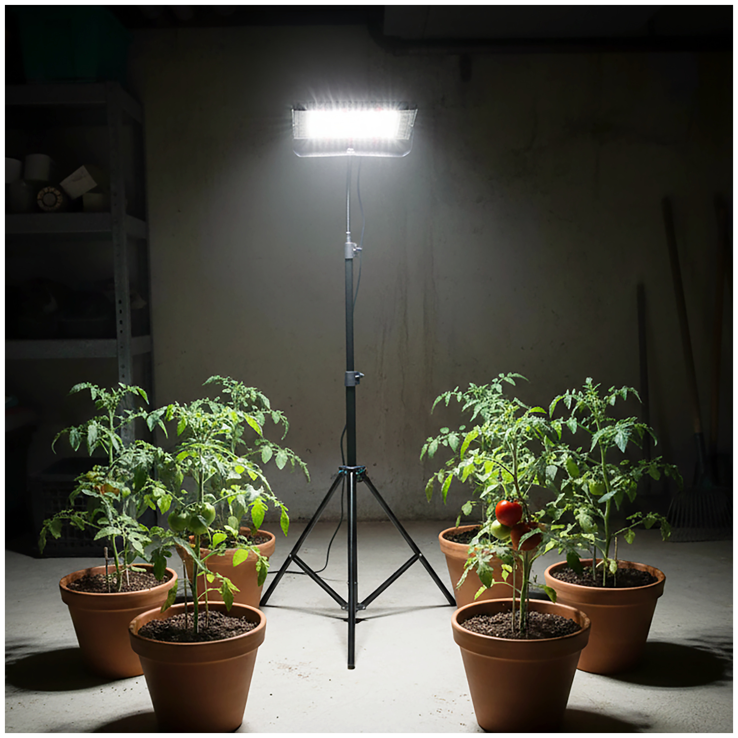 GROW LED reflektor za rast rastlin 45W s stojalom