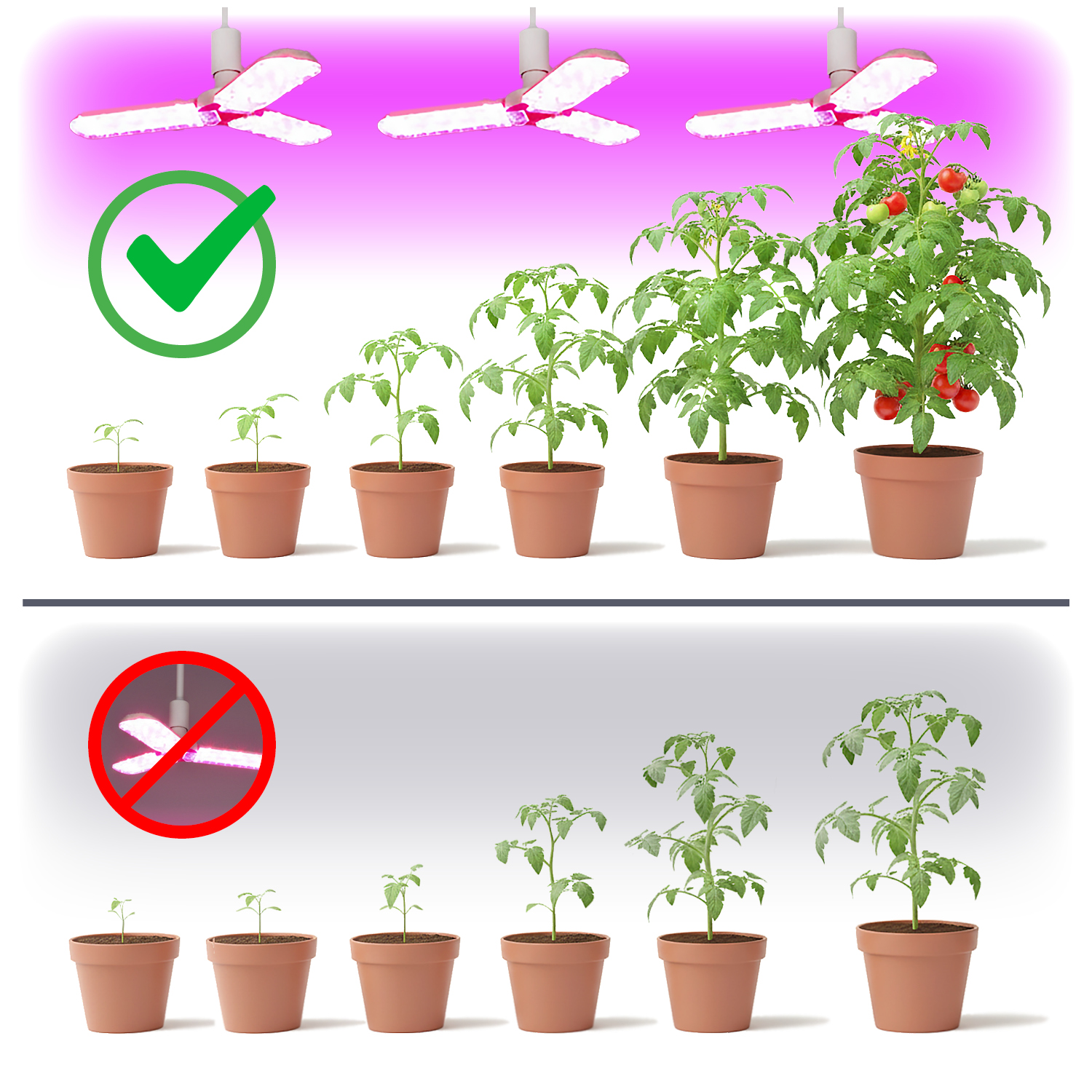 LED GROW LAMP svetilka za rast rastlin E27 24W