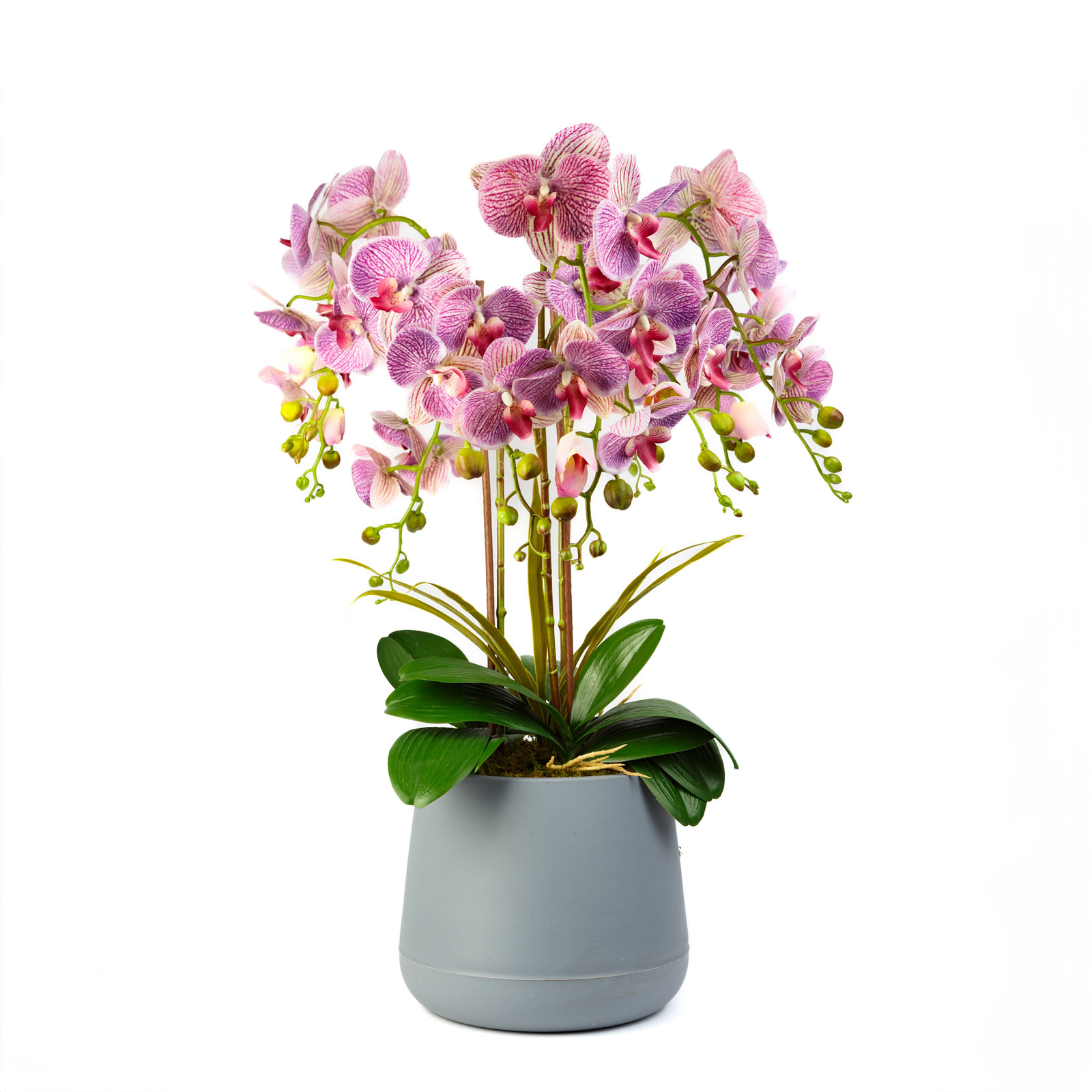 Artificial Plant Decoration - Orchid - Purple - 83 cm