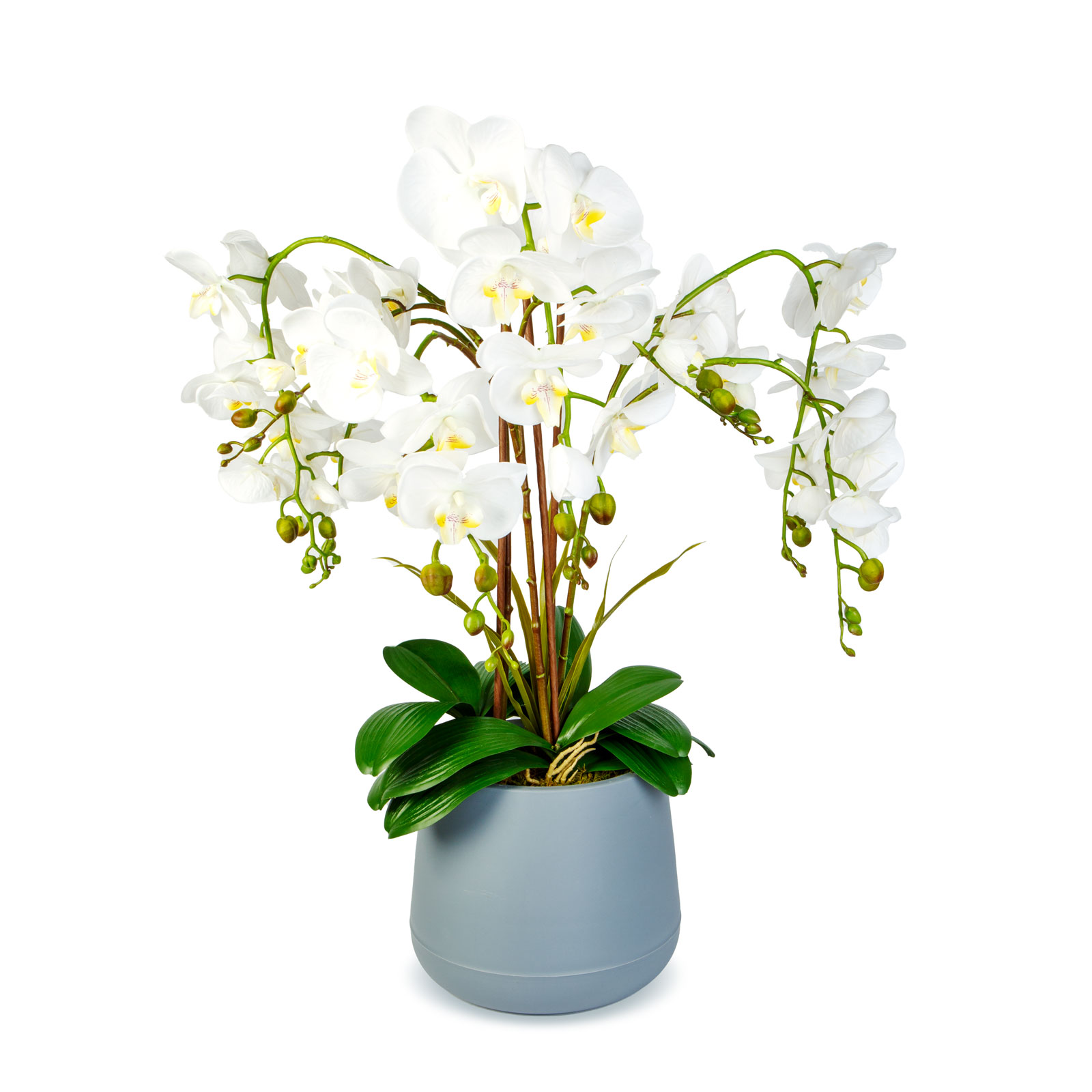 Artificial Plant Decoration - Orchid - White - 83 cm